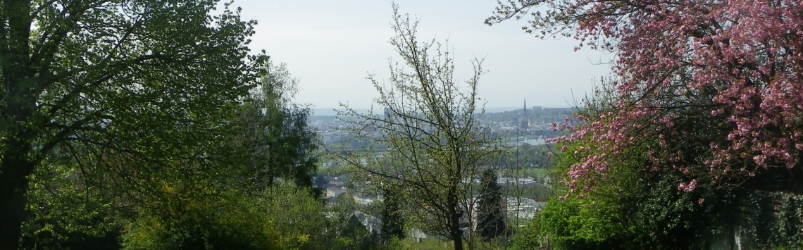 Eigentumswohnungen in Linz/Urfahr - Hentschläger Immobilien Eigentumswohnungen in Linz/Urfahr - Hentschläger Immobilien