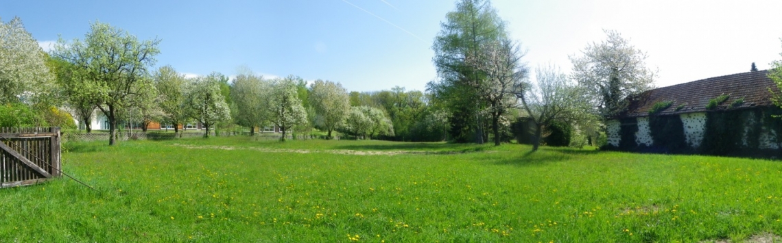 Eigentumswohnungen in Linz/Urfahr - Hentschläger Immobilien Eigentumswohnungen in Linz/Urfahr - Hentschläger Immobilien