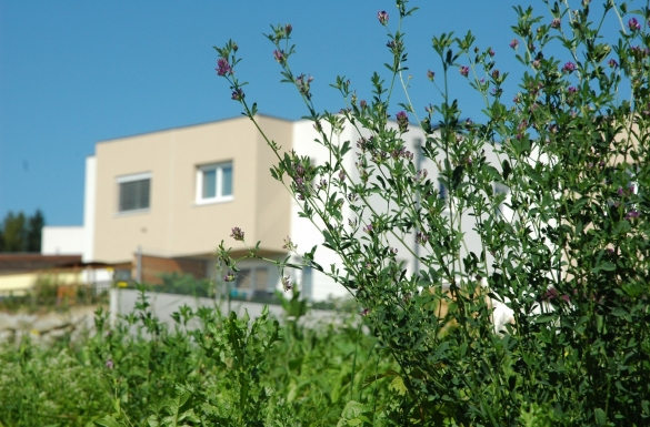 Reihenhaus von Hentschläger Immobilien