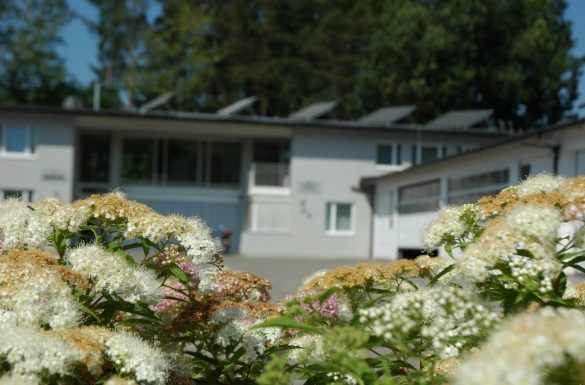 Kommunalbau Rotes Kreuz - Hentschläger Bau GmbH