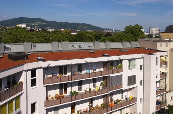 Wohnanlage Volksgarten - Hentschläger Sanierung