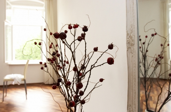 Wohnanlage Volksgarten - Hentschläger Sanierung