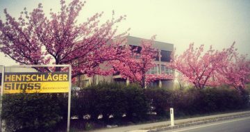 Fruehling