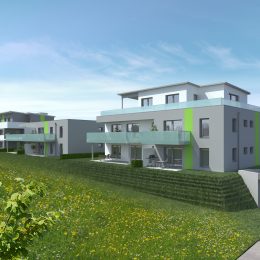 Geförderte Eigentumswohnungen in Mauthausen - Hentschläger Immobilien