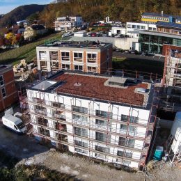 Donauerweg - Eigentumswohnungen in Mauthausen - Hentschläger Immobilien
