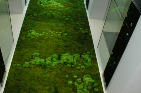 Gewerbebau Firma Kuka Bürogebäude - Hentschläger Bau GmbH - Baufirma in Langenstein
