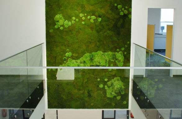 Gewerbebau Firma Kuka Bürogebäude - Hentschläger Bau GmbH - Baufirma in Langenstein