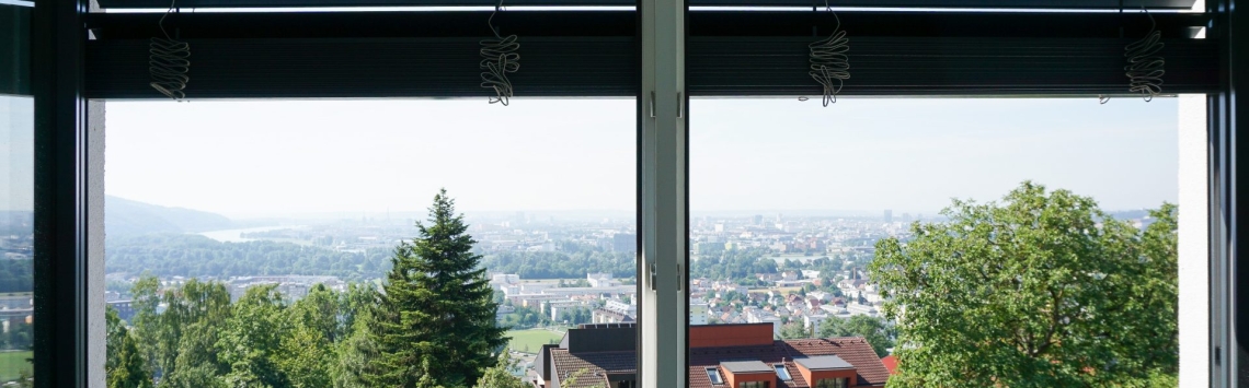 Blick aus dem Fenster