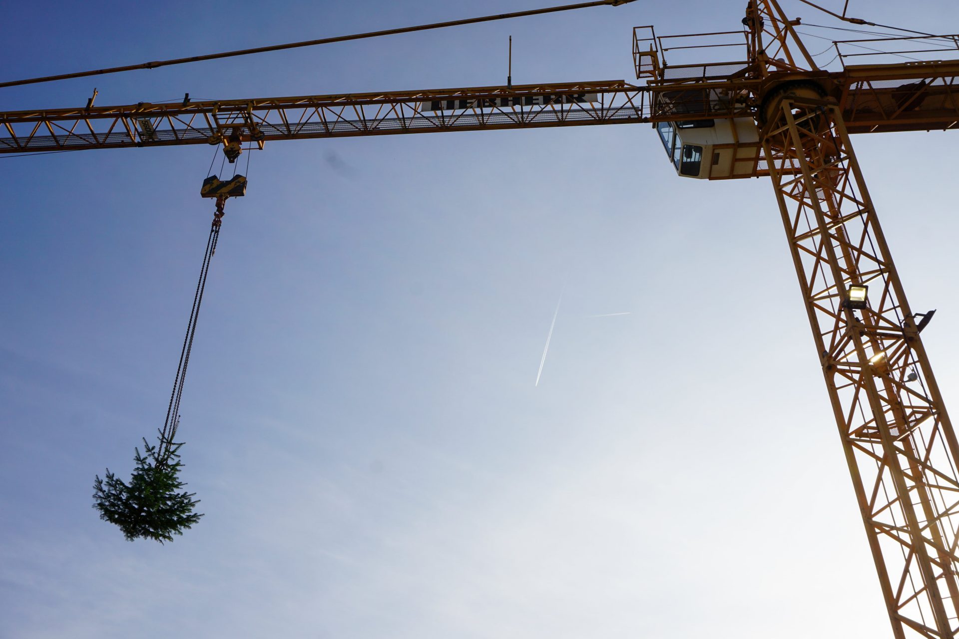 Gleichenfeier Leon - Hentschläger Immobilien - Eigentumswohnungen in Linz