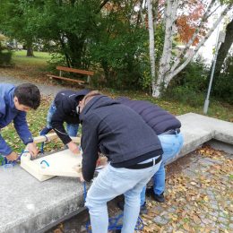 Lehrlinge Start Up ABAU - Hentschläger Bau GmbH