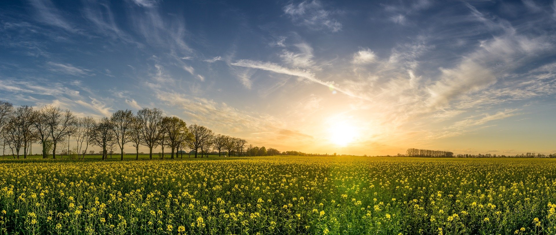 Häuser und Grundstücke von Hentschläger - Grundstück - Lagerplatz - Ruhelage - Toplage - sonnige Lage - Gewerbegrundstück - Bürofläche - Wohnqualität - Grünes Wohnen - Doppelhaus - Sonnenhang - Immobilien Wohnung - Barriefrei Wohnen - Altersgerechtes Wohnen - Wohnung oder Haus kaufen - Wohnqualität - Grünes Wohnen