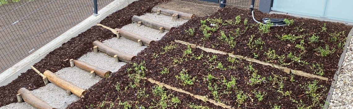 Geförderte Eigentumswohnungen in Leonding - Hentschläger Immobilien