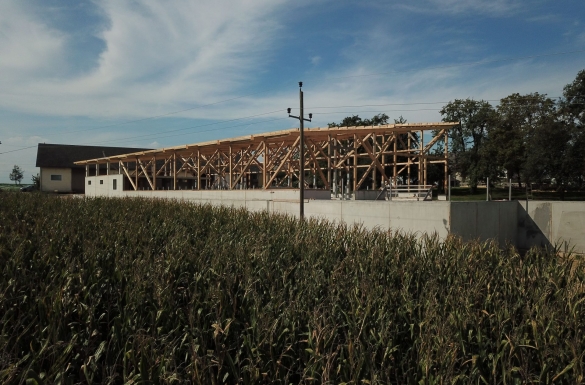 Rinderstall - Hentschläger Holzbau - Zimmermeisterarbeiten - Dachstuhl