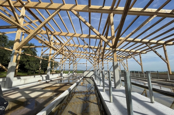 Rinderstall - Hentschläger Holzbau - Zimmermeisterarbeiten - Dachstuhl