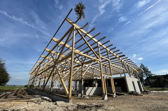 Rinderstall - Hentschläger Holzbau - Zimmermeisterarbeiten - Dachstuhl