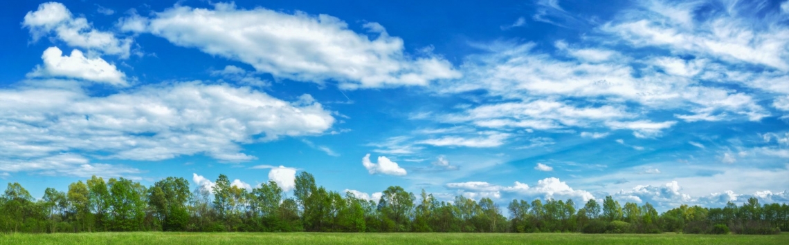 Baugrund in Linz und Umgebung gesucht - Hentschläger Immobilien